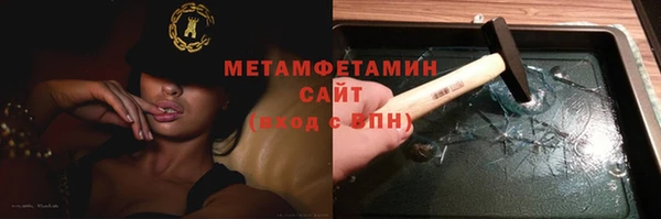 прущие грибы Осинники