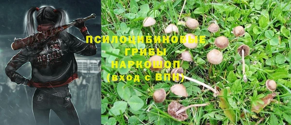 Альфа ПВП Абаза