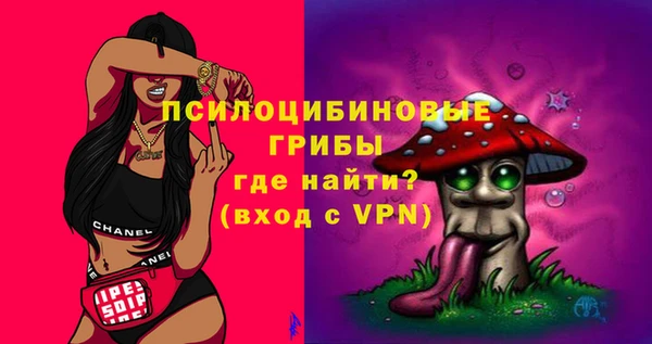 Альфа ПВП Абаза